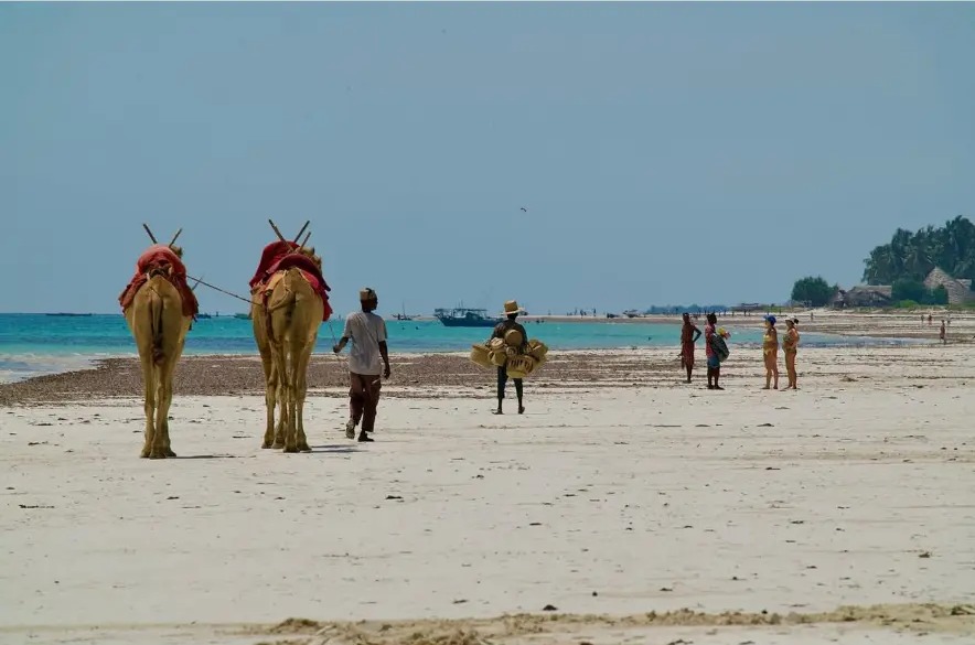 Camels and beach vendors walking along the low tide at Diani Beach, Kenya