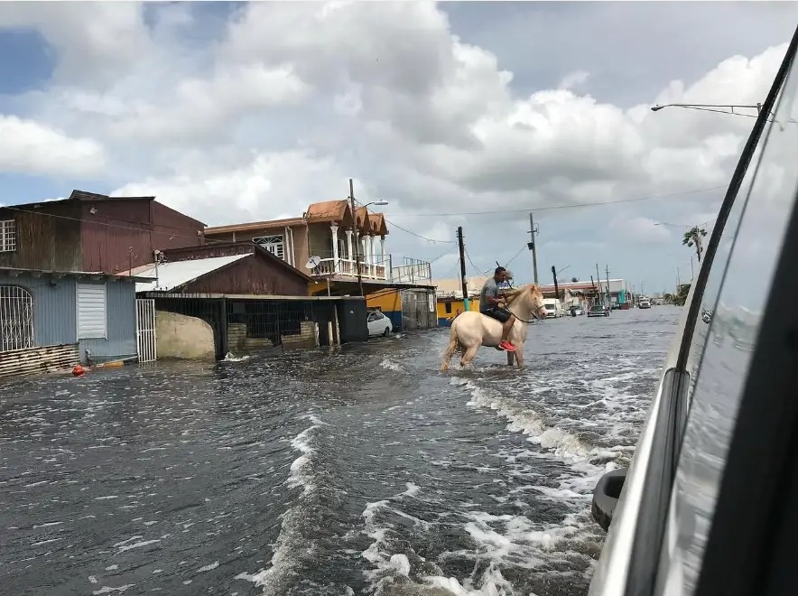 Man riding a pale horse through a flooded street after the hurricane