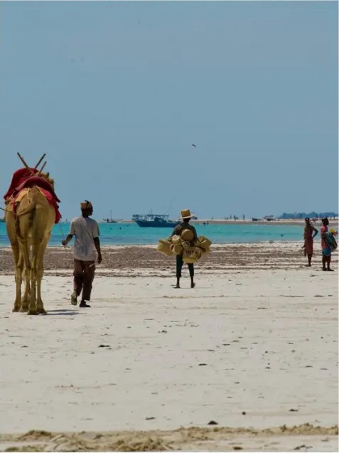 Camel and vendors on a wide sunlit beach