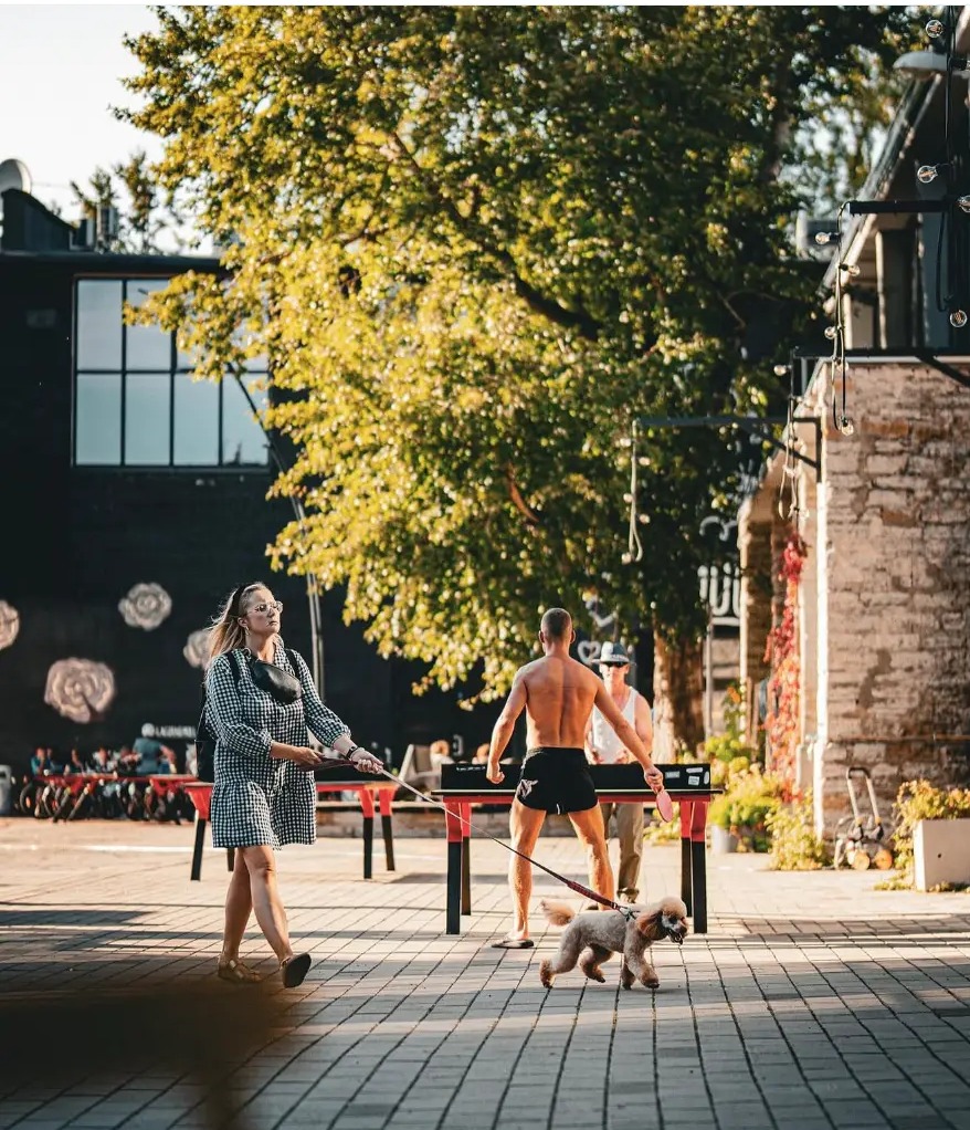 Evening table tennis game in the courtyard of Telliskivi Creative City, Tallinn, Estonia